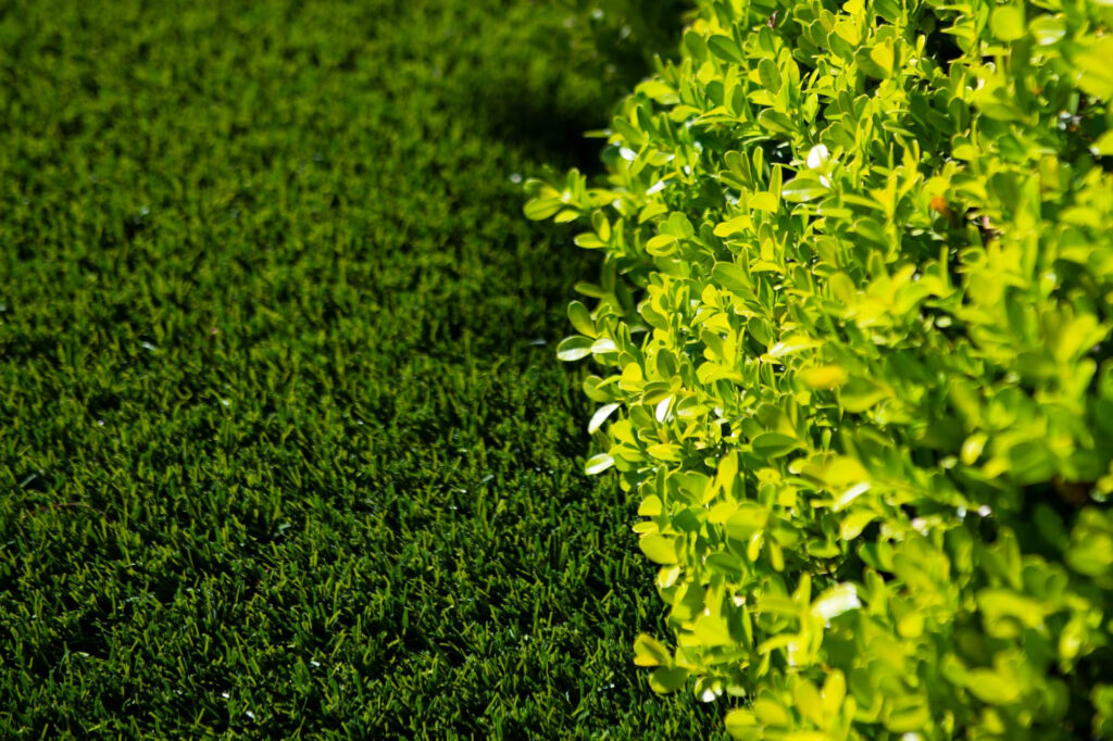 césped artificial con plantas naturales